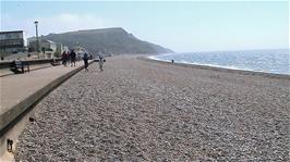 The coastline looking eastwards from Seaton Beach, 2.1 miles into the ride